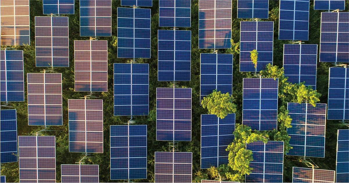 Aerial view of solar panels arranged in rows across a grassy field, with patches of green vegetation growing between the panels, representing RELA’s focus on renewable energy and land utilisation.