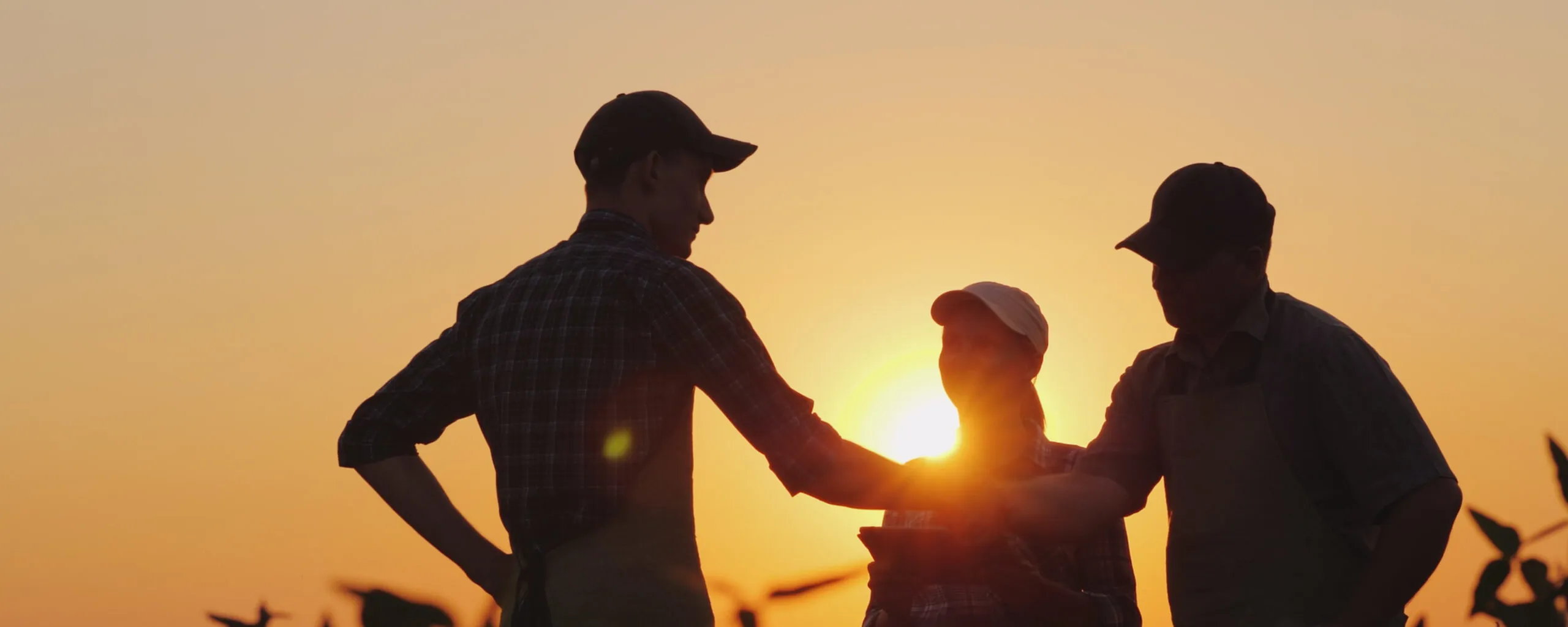 A group of farmers in the field, shaking hands. Family Agribusiness