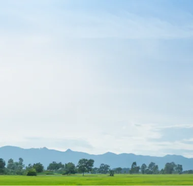 Empowering Farmers: A seat at the table