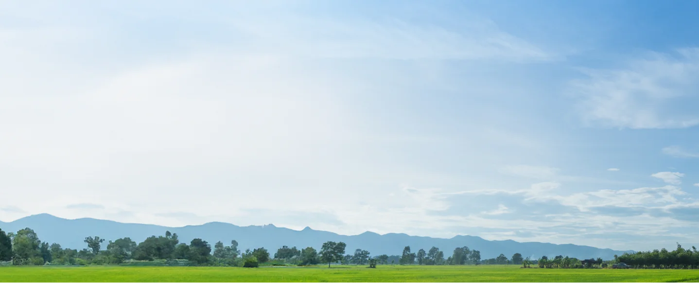 Wide view of lush green farmland with distant tree lines and rolling hills under a bright blue sky, representing RELA’s focus on regional land partnerships and renewable energy opportunities