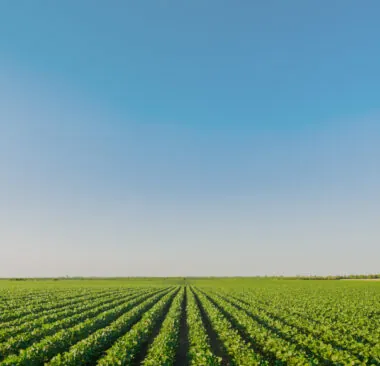 From Acres to Actions